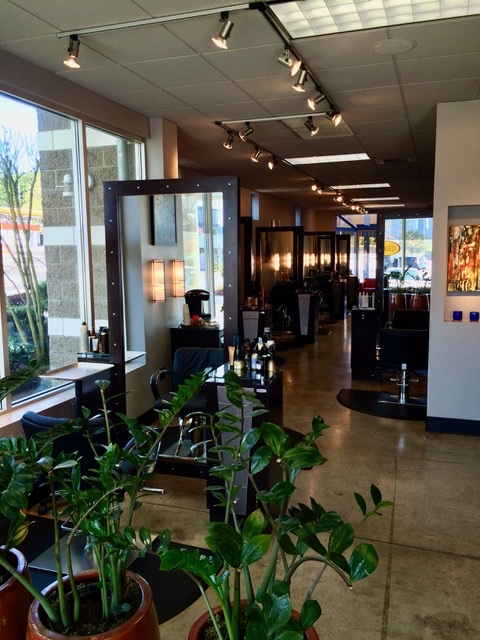 Inside Salon Matarazzo — the studio floor in Bellevue, WA